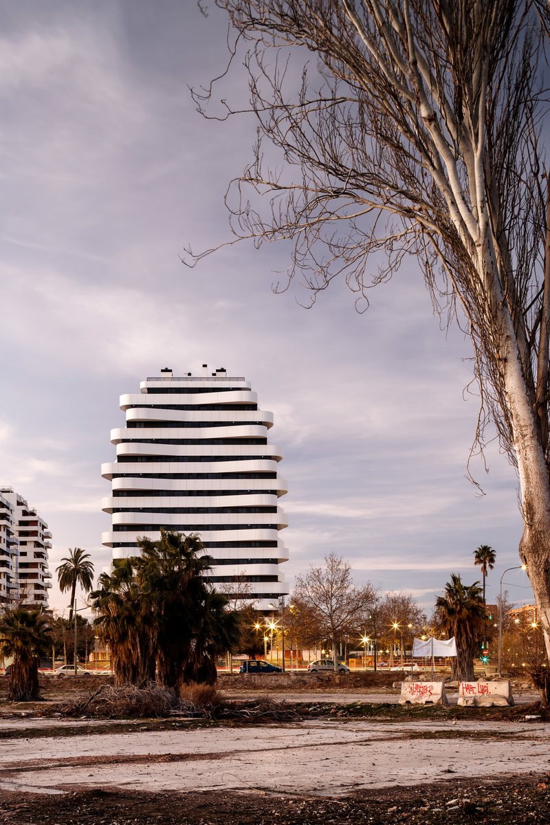 Distant view of the horizontally banded tower facade framed by a bare tree in late afternoon light