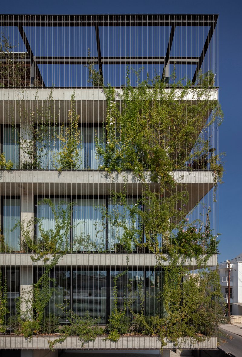 Close view of the layered facade with climbing vegetation behind the vertical metal louvers
