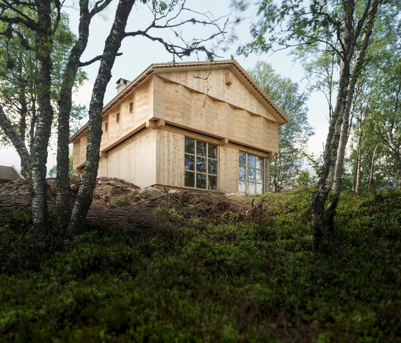 Light timber cabin with gabled roof and large windows set among birch trees on a mossy hillside
