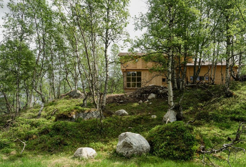 Timber-clad volume nestled into a mossy hillside among birch trees and scattered boulders