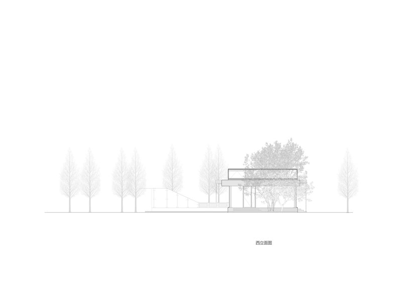 Elevation drawing showing single pavilion with clerestory roof and leafy tree canopy