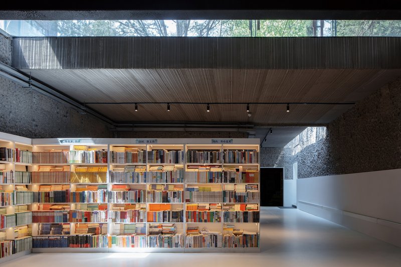 Illuminated bookshelf wall facing a clerestory window with views of tree canopy beyond