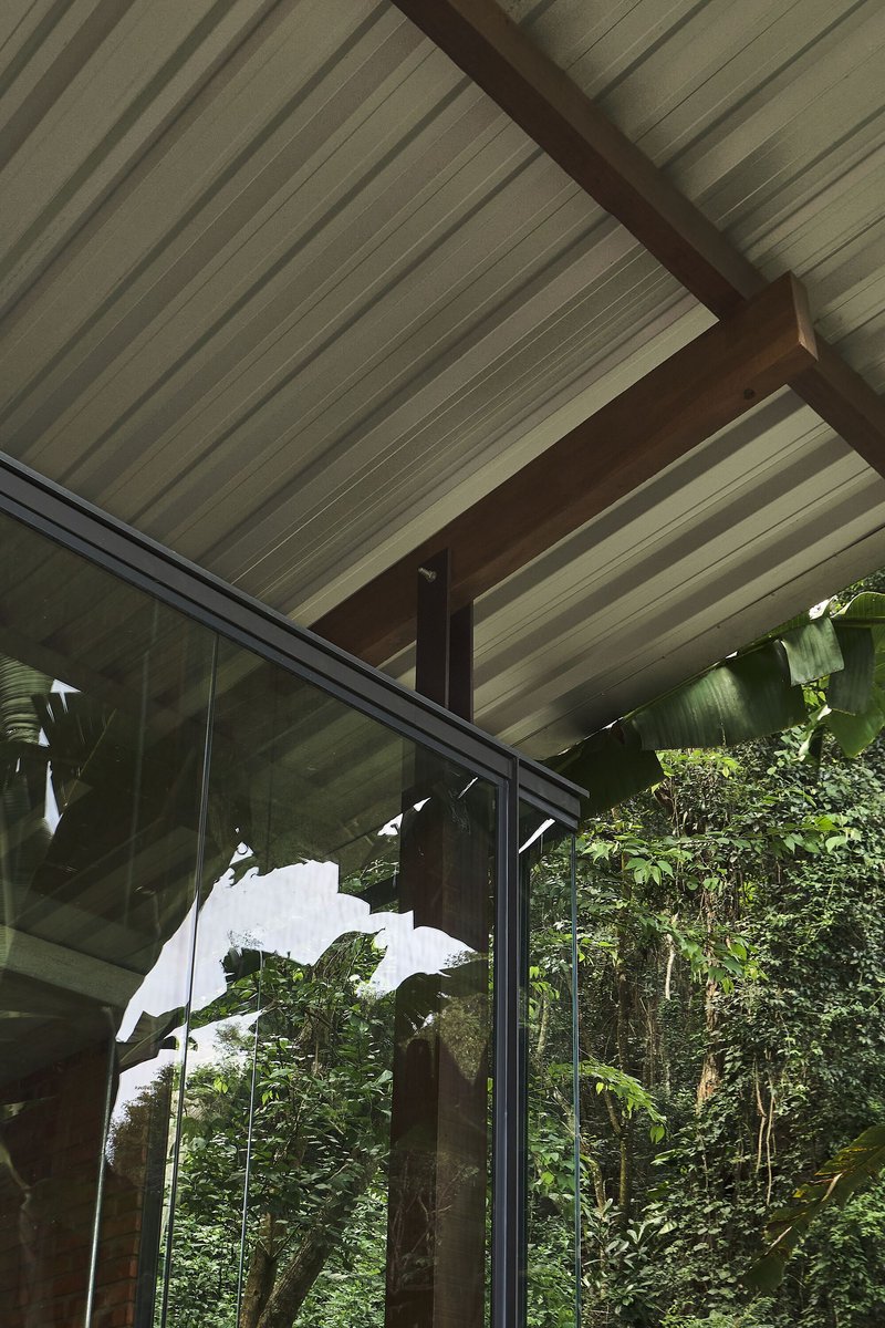 Interior view of the slatted wood ceiling with exposed timber beams beside floor-to-ceiling glazing and tropical vegetation
