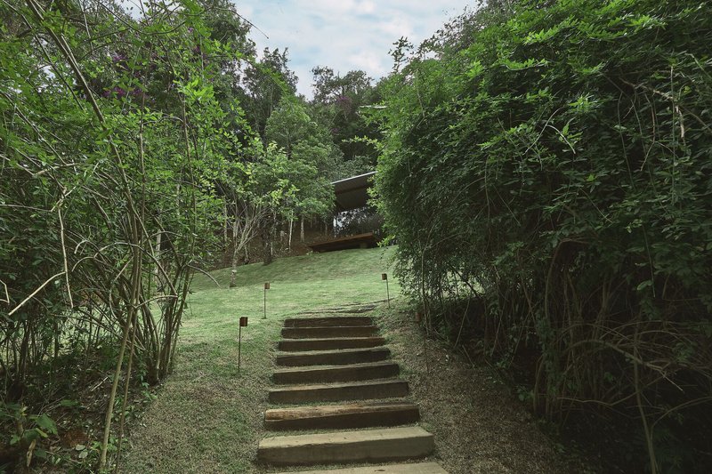 Exterior staircase with timber and gravel treads climbing a grass-covered slope through dense jungle growth