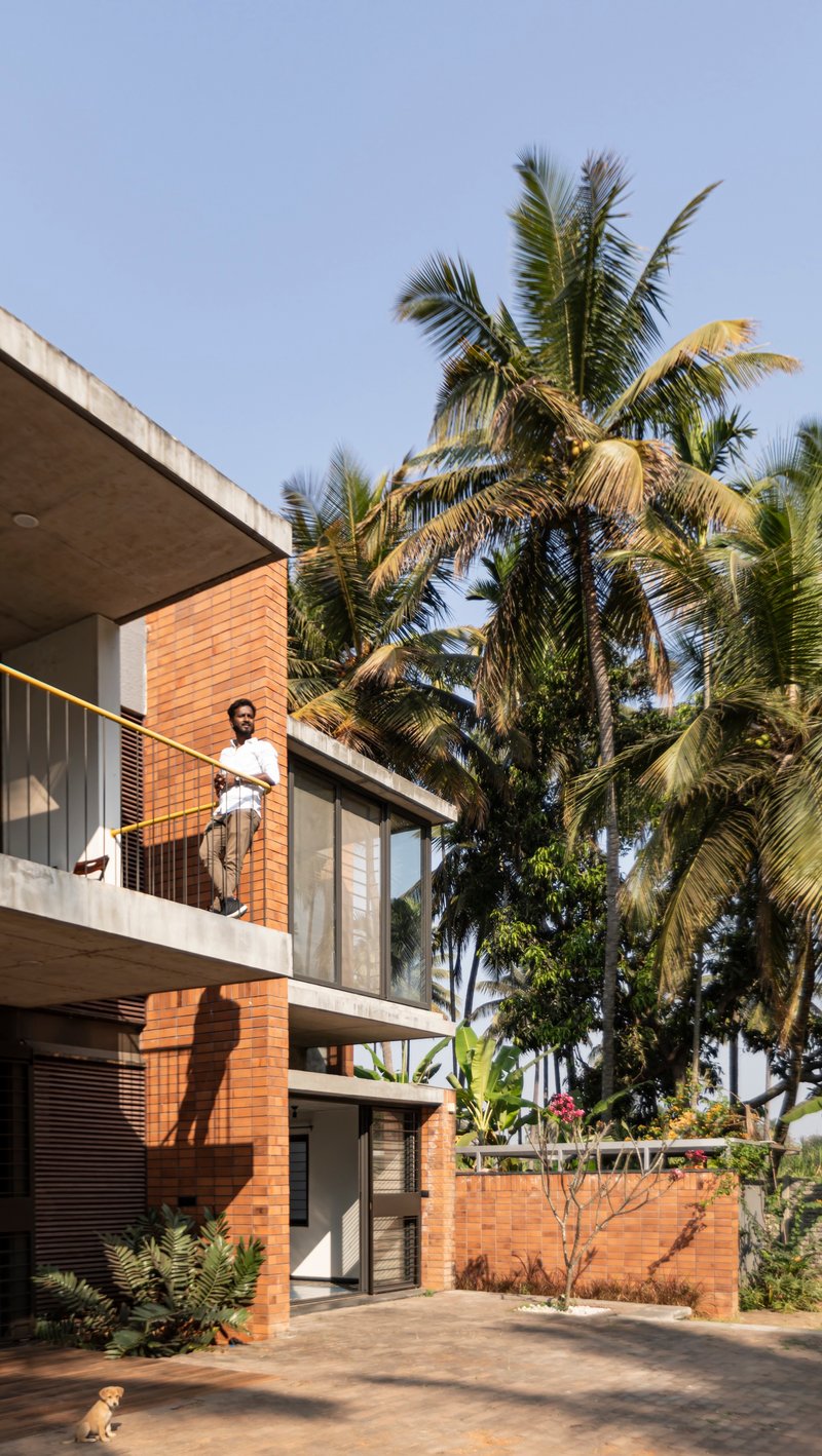 Cantilevered balcony with timber cladding and a figure overlooking the palm grove below