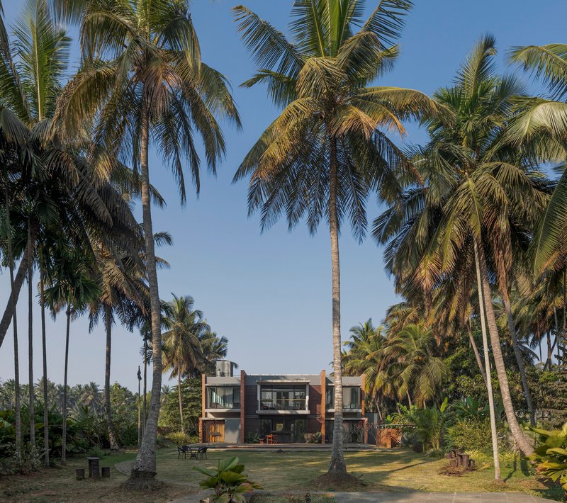 Rear facade framed by towering coconut palms in late afternoon light