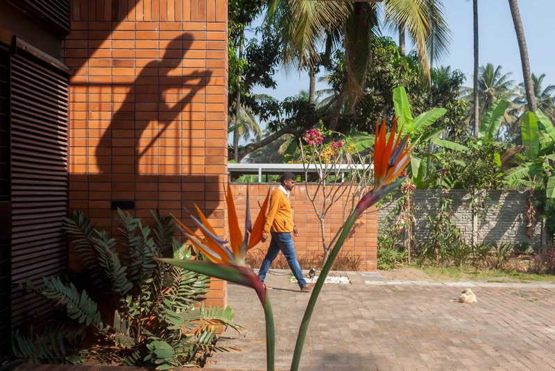 Orange terracotta tile wall casting angular shadows with bird-of-paradise bloom and ferns in the foreground