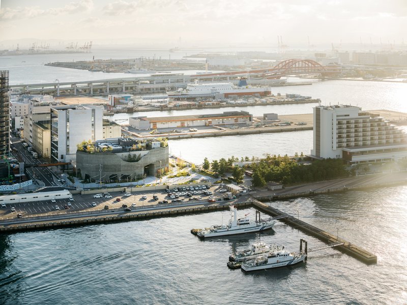 Aerial view of the rooftop terrace with planted greenery overlooking harbor waters and docked boats at dusk