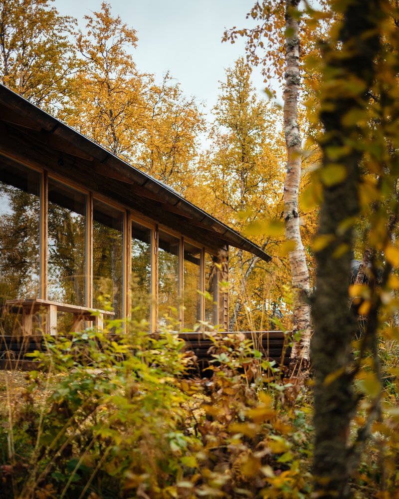 Glass walls of the pavilion volume reflecting surrounding birch trunks and undergrowth with autumn leaves