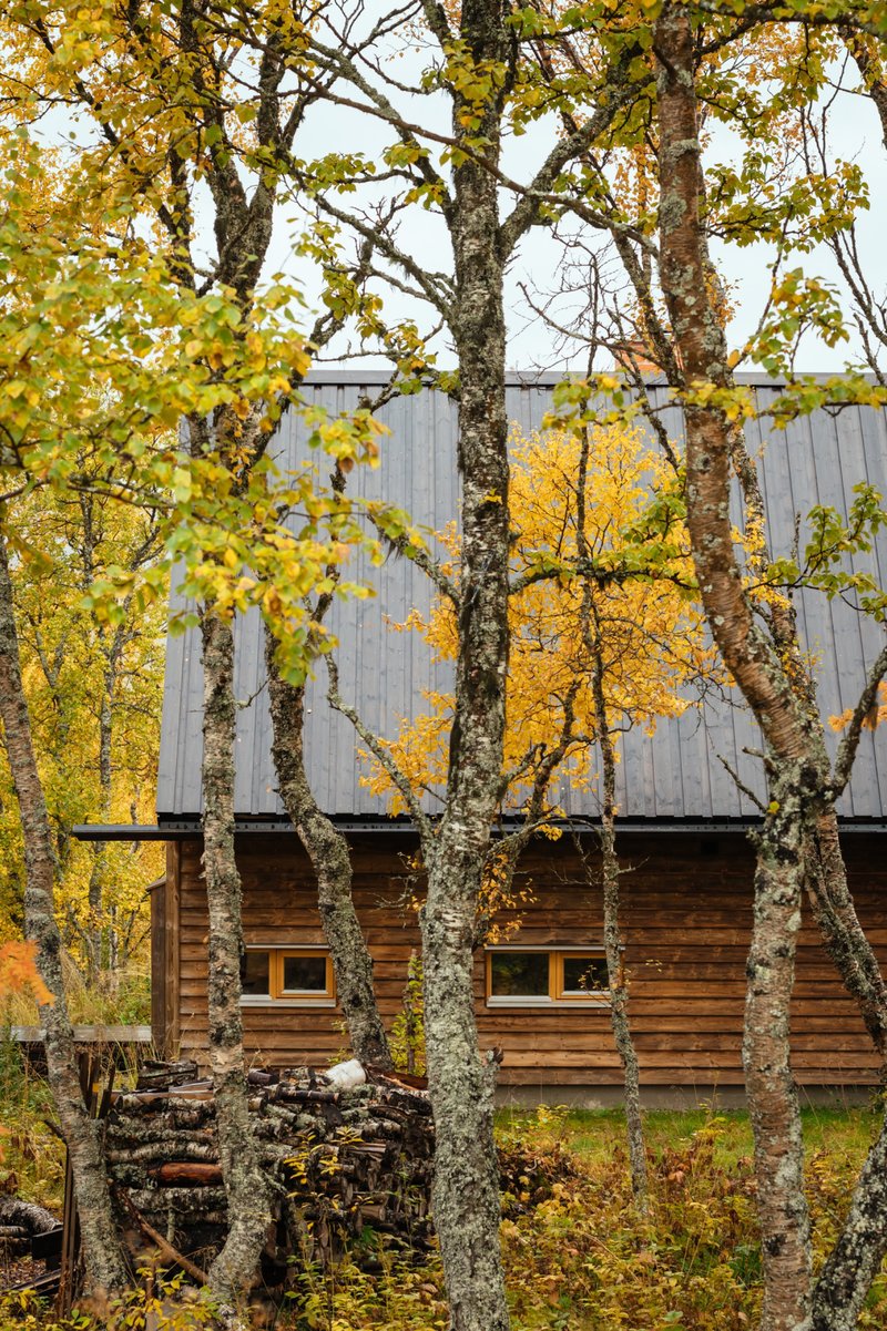 Two-story facade combining horizontal timber cladding below and vertical weathered boarding above, framed by birch trees