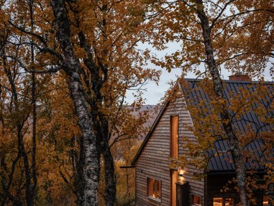 Tina Bergman Tucks a Timber Cabin Shaped Like a Fairytale Hat into a Swedish Birch Forest