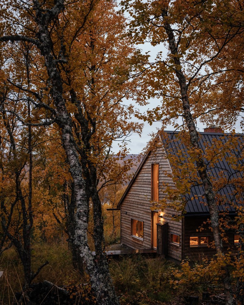 Tina Bergman Tucks a Timber Cabin Shaped Like a Fairytale Hat into a Swedish Birch Forest