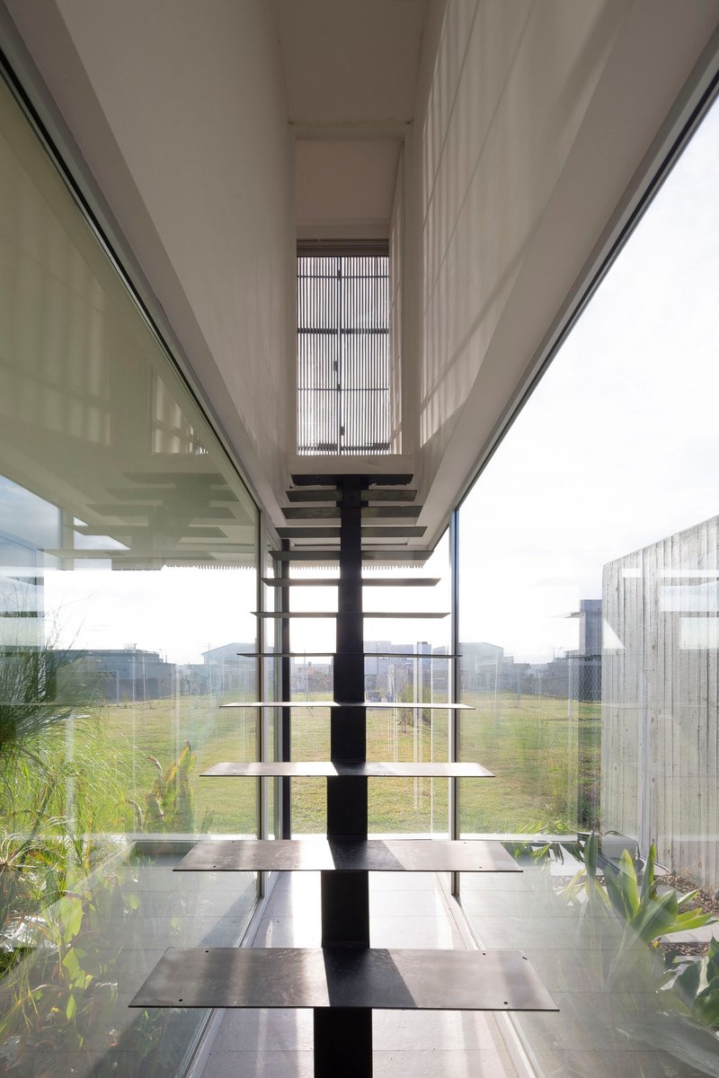 Glass-enclosed staircase with steel treads and central spine overlooking a planted courtyard