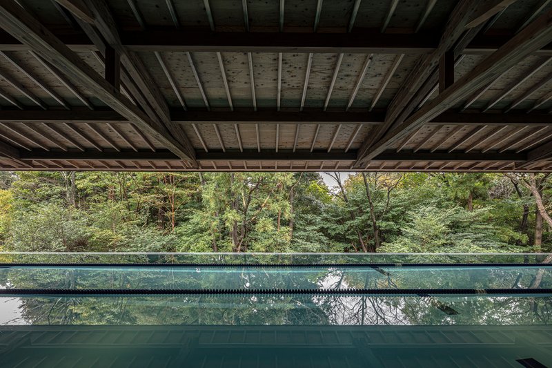 NASCA Embeds a Multilevel Diving Retreat into the Forested Hillside of Japan's Izu Peninsula