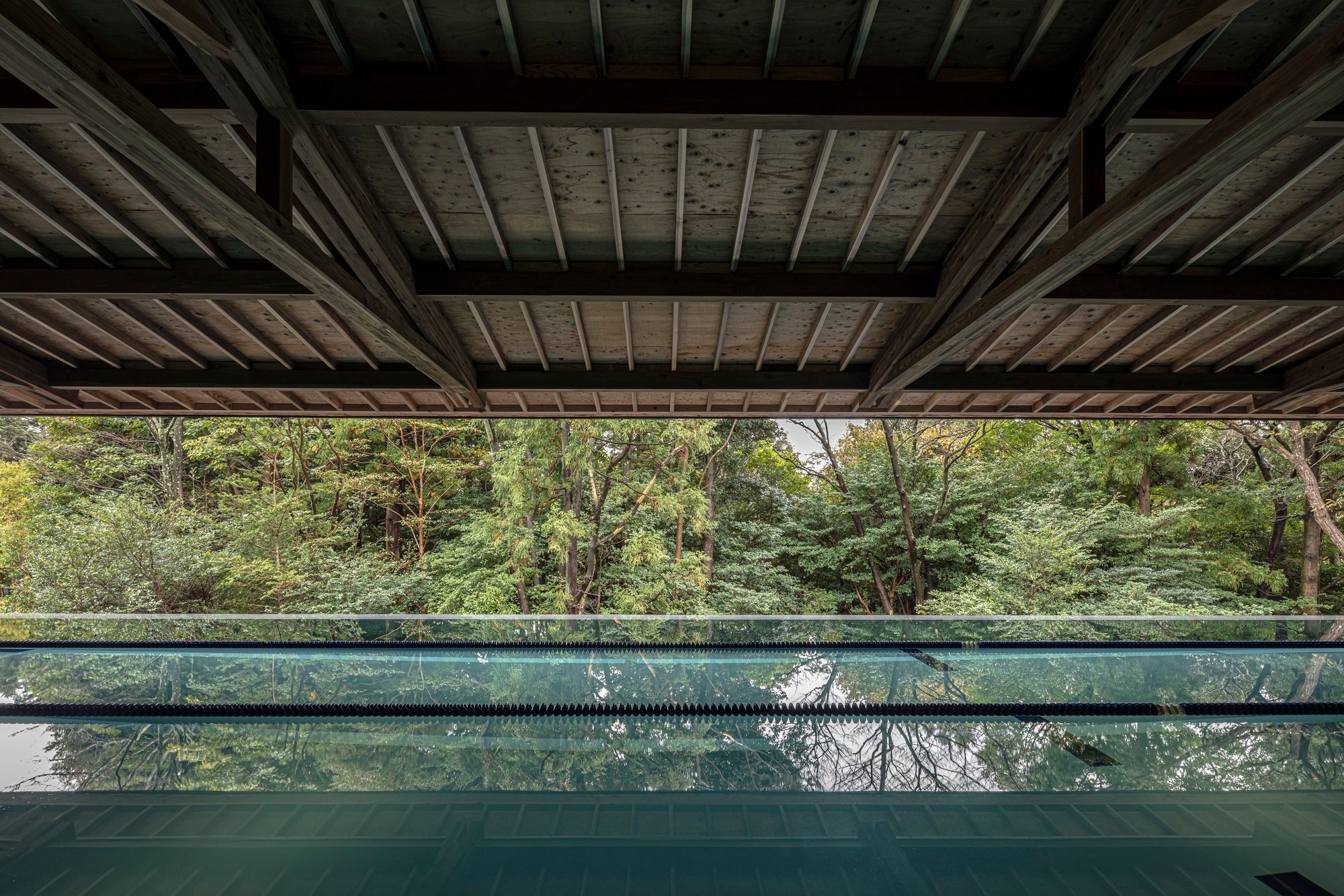 NASCA Embeds a Multilevel Diving Retreat into the Forested Hillside of Japan's Izu Peninsula
