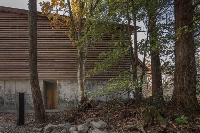 Horizontal timber slatted facade above a concrete base surrounded by forest trees and fallen leaves