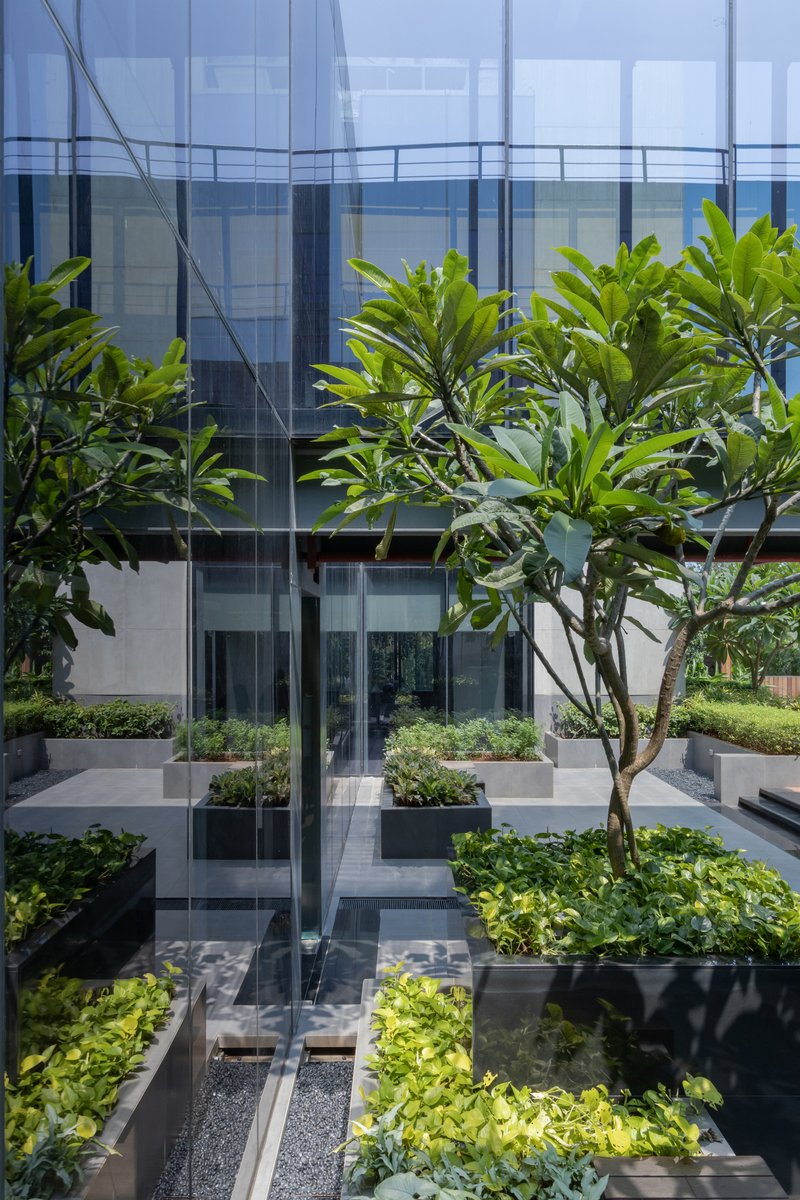 Planted terrace with raised black planting boxes and young trees in front of a glazed facade
