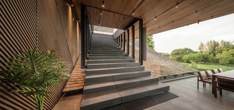 Wide concrete staircase framed by timber slatted walls and ceiling with skylight above potted palms