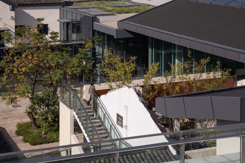 Glass-railed staircase bridging rooftop terraces planted with young trees in afternoon sunlight