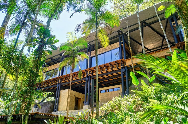 Upward view of timber balcony with diagonal bracing and glass wall framed by palm fronds