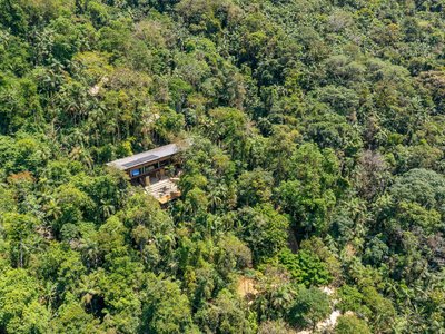 Atelier Marko Brajovic Floats a Timber Pavilion Above the Jungle Stones of Paraty