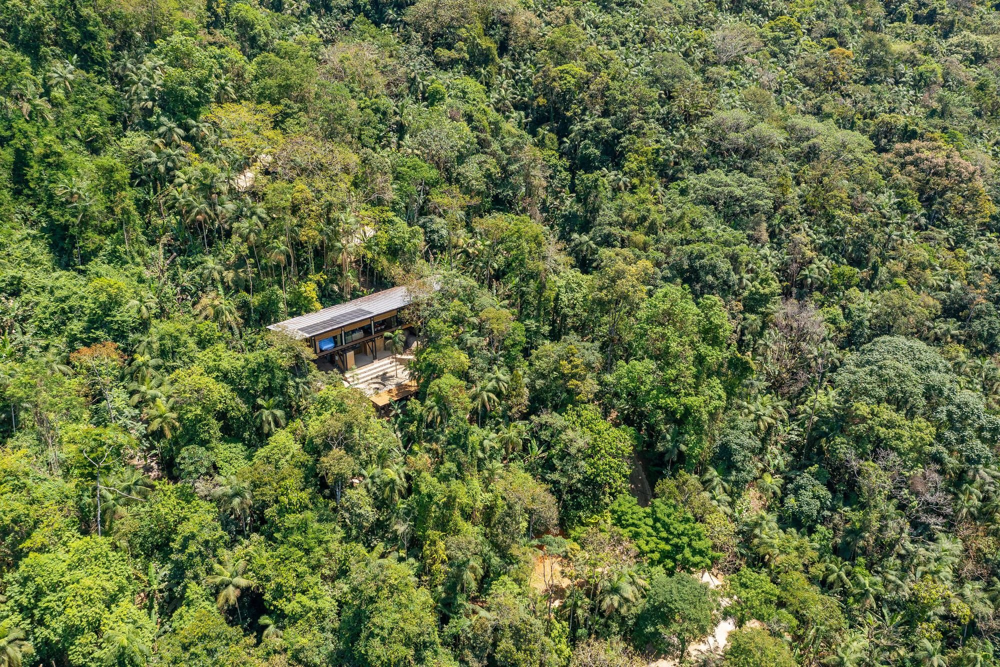 Atelier Marko Brajovic Floats a Timber Pavilion Above the Jungle Stones of Paraty