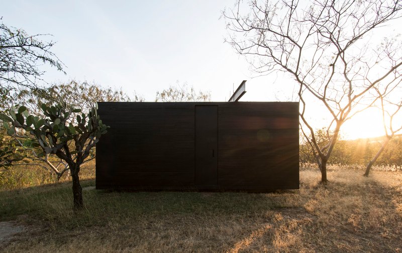 Closed dark-clad volume viewed from behind at sunset through orchard trees with bare branches