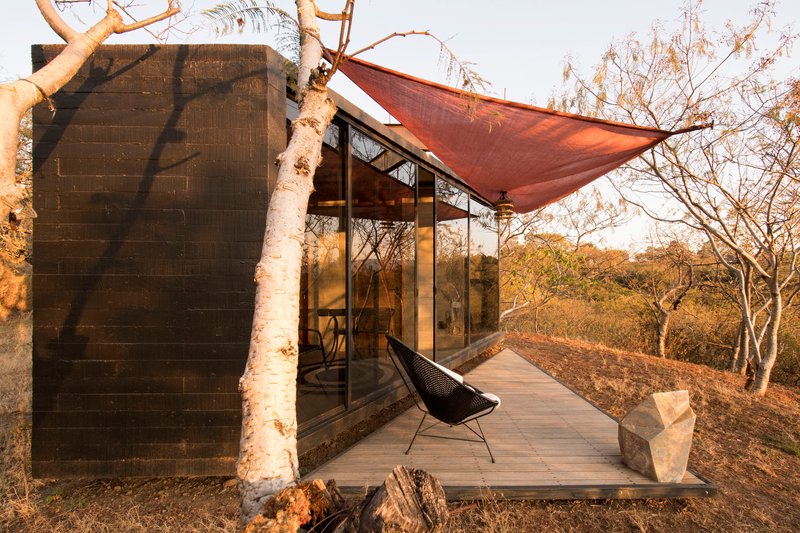 Glass-walled volume with timber deck and tensioned fabric canopy framed by bare birch trees