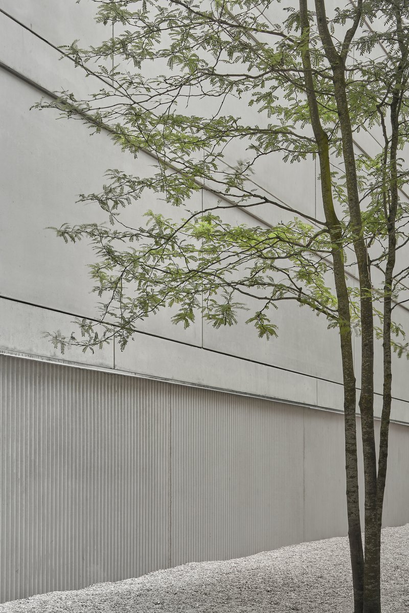 Tree with sparse spring foliage against white facade with vertical ribbed metal cladding