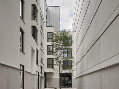 Common Practice and Studio AAAN Carve a Hidden Courtyard World into Amsterdam's Narrowest Plot