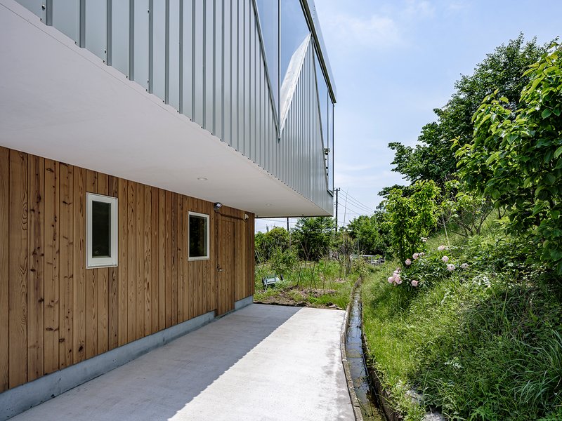Side view showing the cantilevered upper volume with timber base and overgrown vegetation beside the pathway