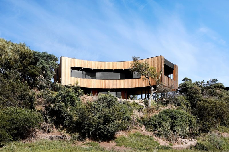 Curved timber-clad facade elevated on pilotis above native vegetation on a hillside