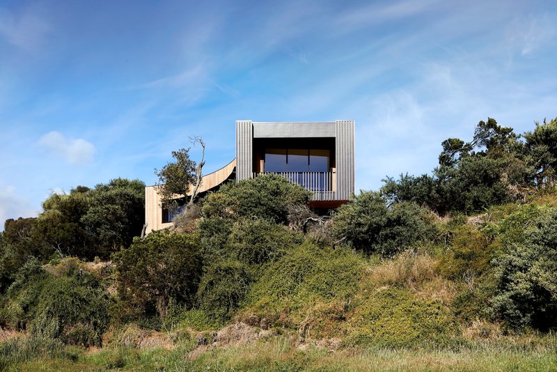 Upper timber volume with vertical cladding rising above dense coastal scrub and trees