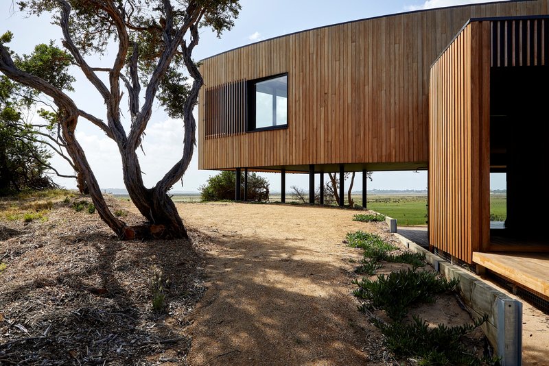 Elevated timber volume on slender columns beside a twisted eucalyptus tree overlooking open fields