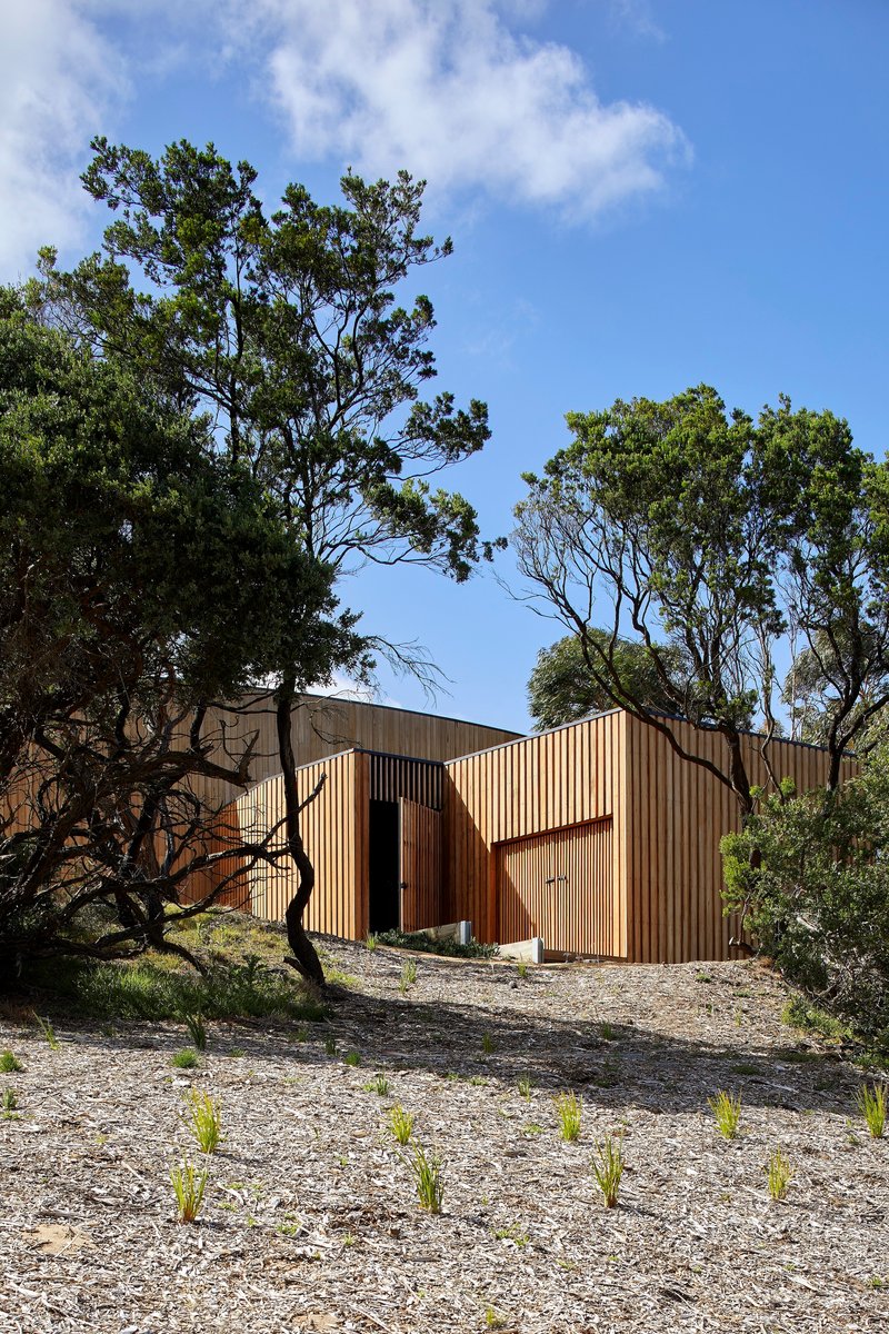 Vertical timber-clad forms rising from a gravel slope among mature trees