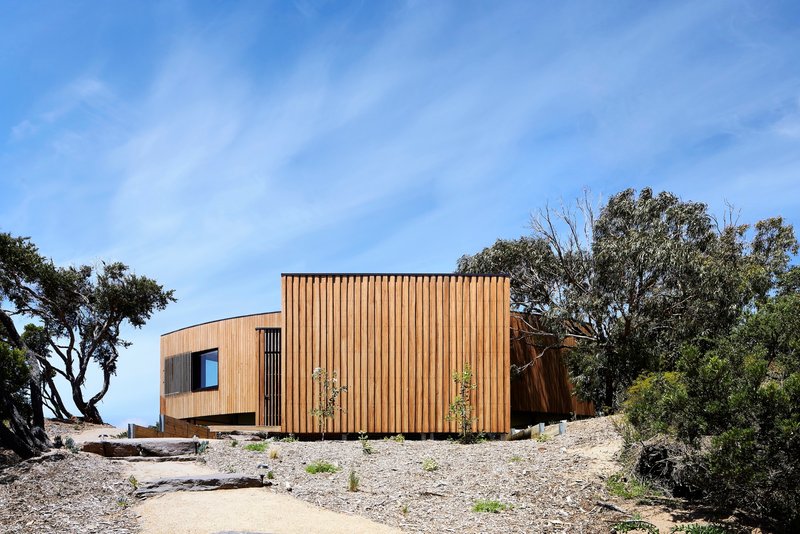 Vertical timber cladding wrapping the facade with young trees planted in gravel at the entry path