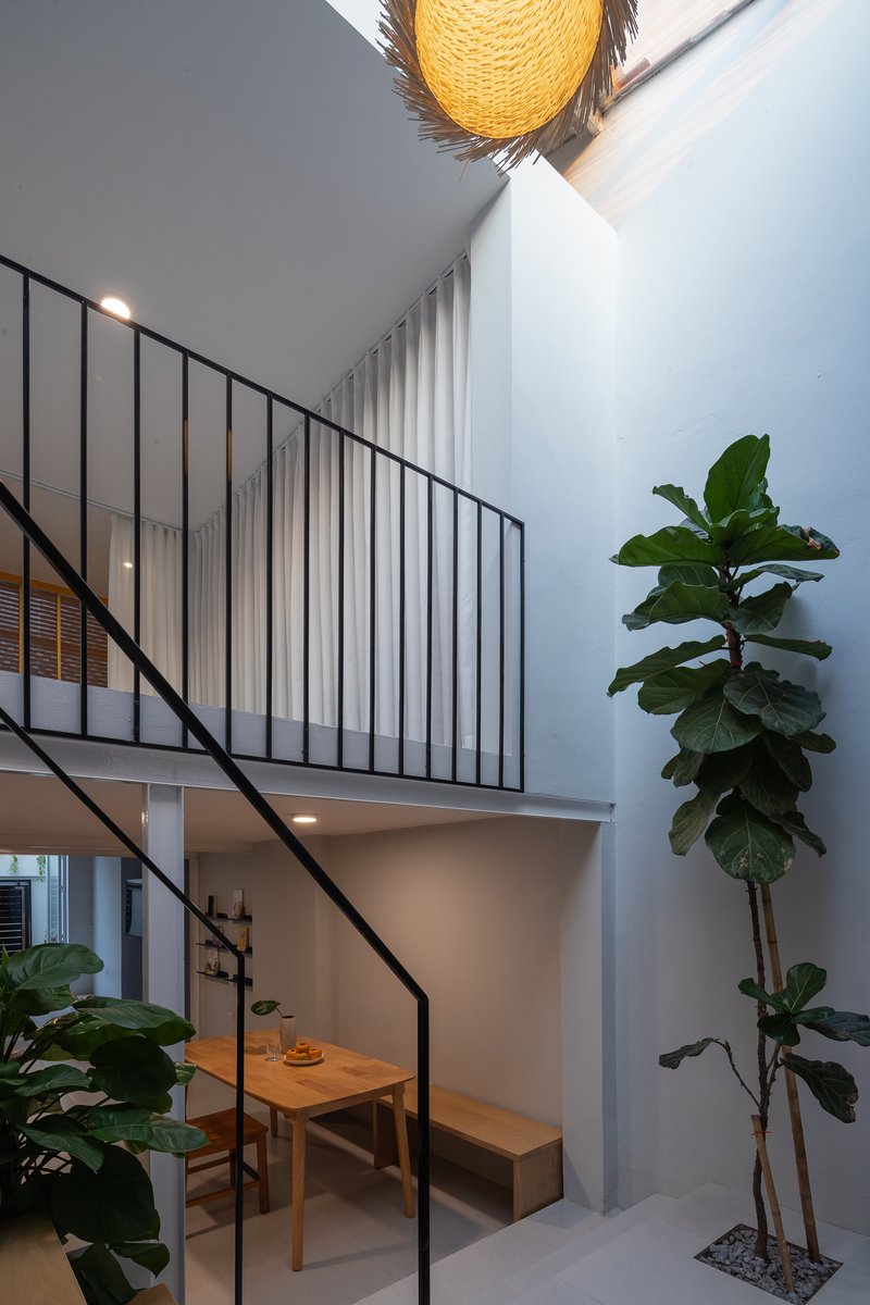 Double-height living space with black steel staircase and railing beside a potted fig tree