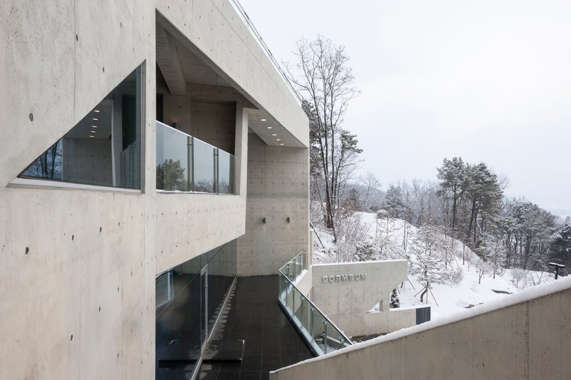 Board-formed concrete terrace with external staircase descending through a winter landscape of bare trees