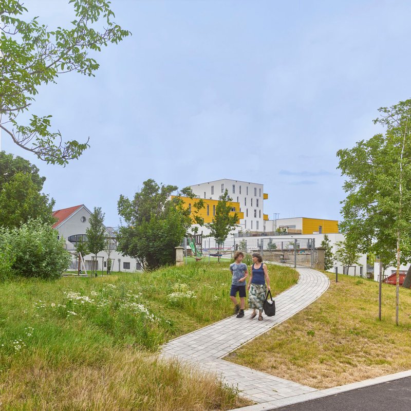 Curved paved pathway through wildflower meadow with two residents walking toward the housing blocks