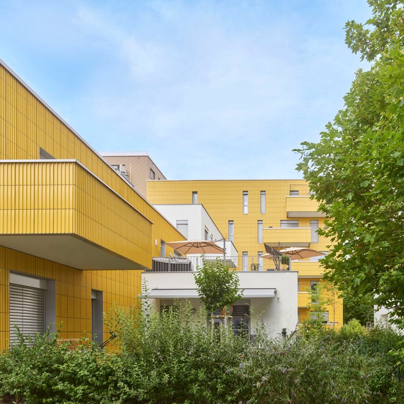 Yellow ribbed metal cladding on residential volumes with balconies behind dense green vegetation