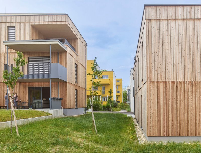 Timber-clad residential blocks with inset balconies flanking a shared lawn and young trees