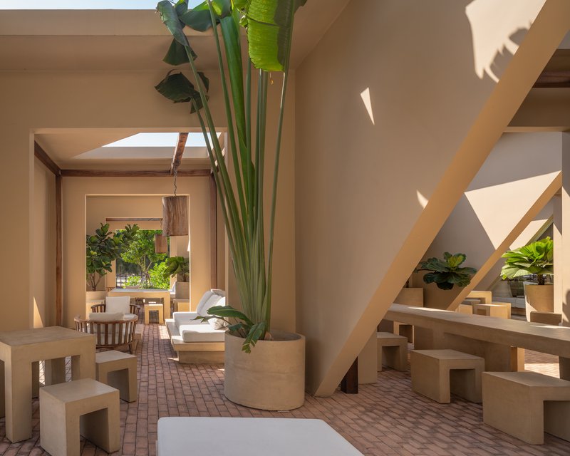 Interior terrace with angled timber beams, skylights, and a tall potted palm in afternoon sun
