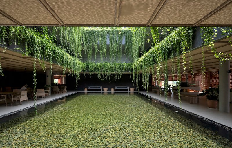 Interior courtyard with green water pool beneath cascading vines and a gridded timber ceiling