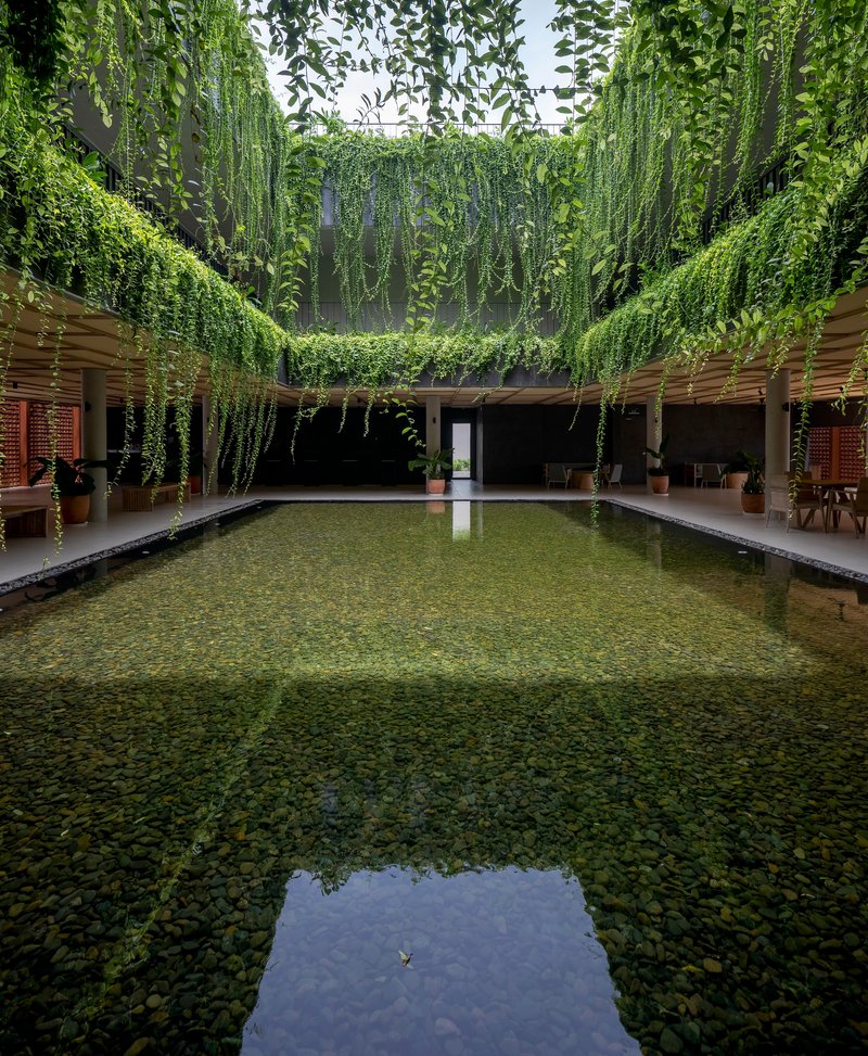 Central courtyard with reflecting pool framed by trailing vines suspended from a perimeter trellis