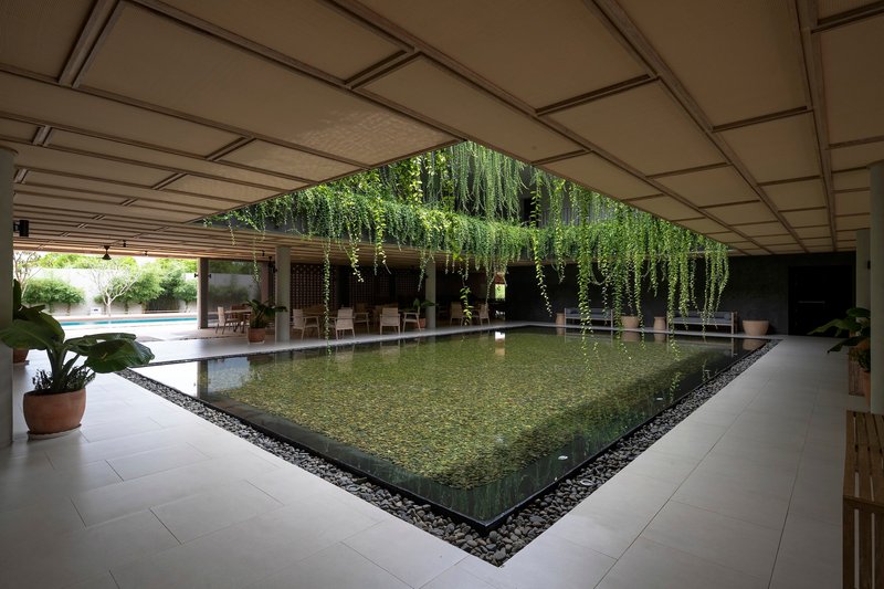 Covered walkway alongside the rectangular pool with cascading greenery overhead and coffered ceiling