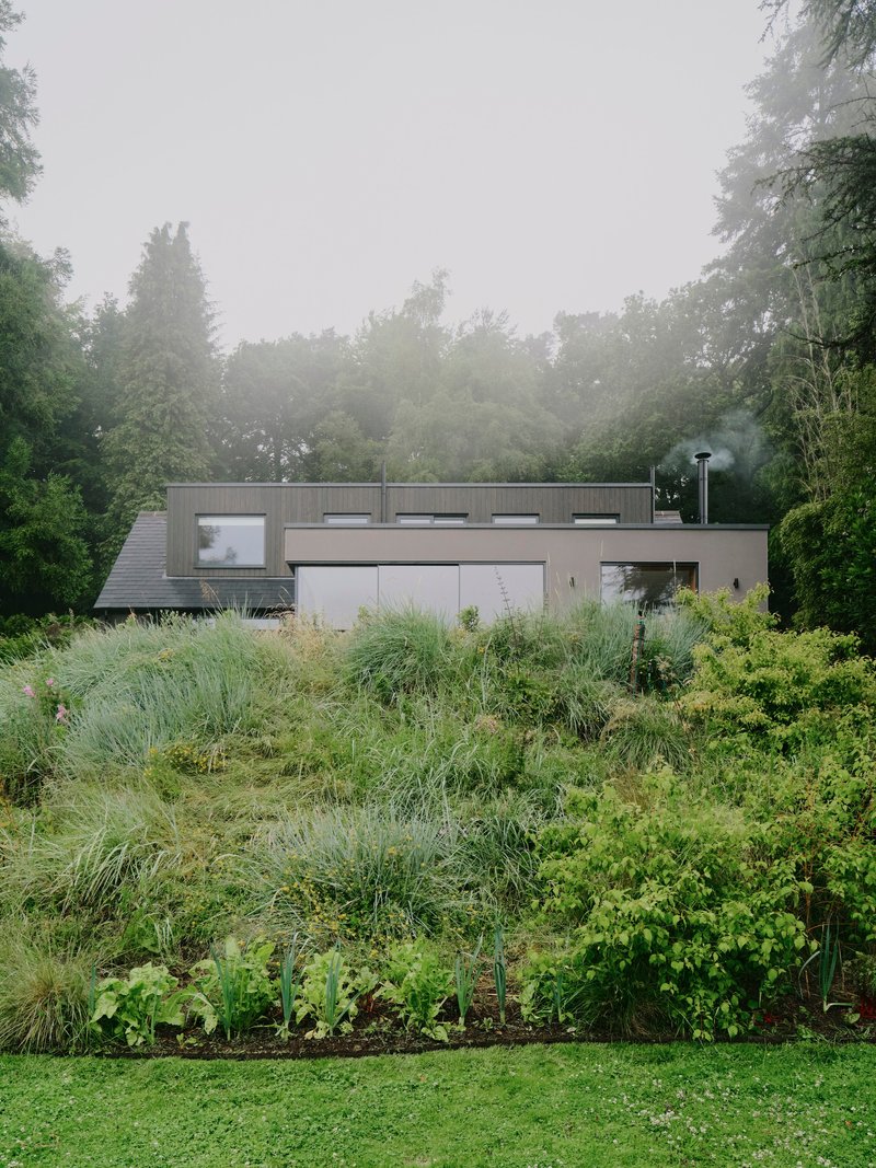 Rear elevation with corrugated metal cladding and clerestory windows framed by planted grasses and fog