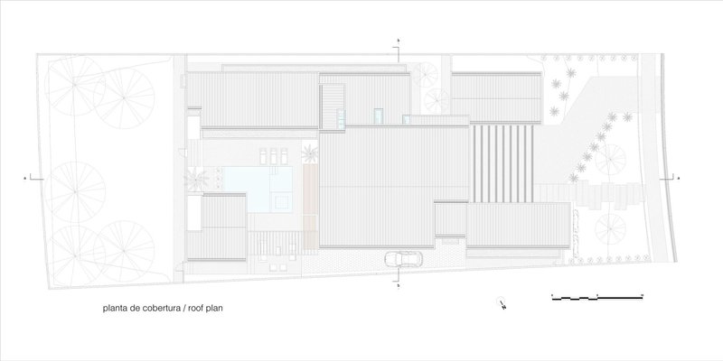 Roof plan drawing showing rooftop volumes, skylights, and perimeter vegetation