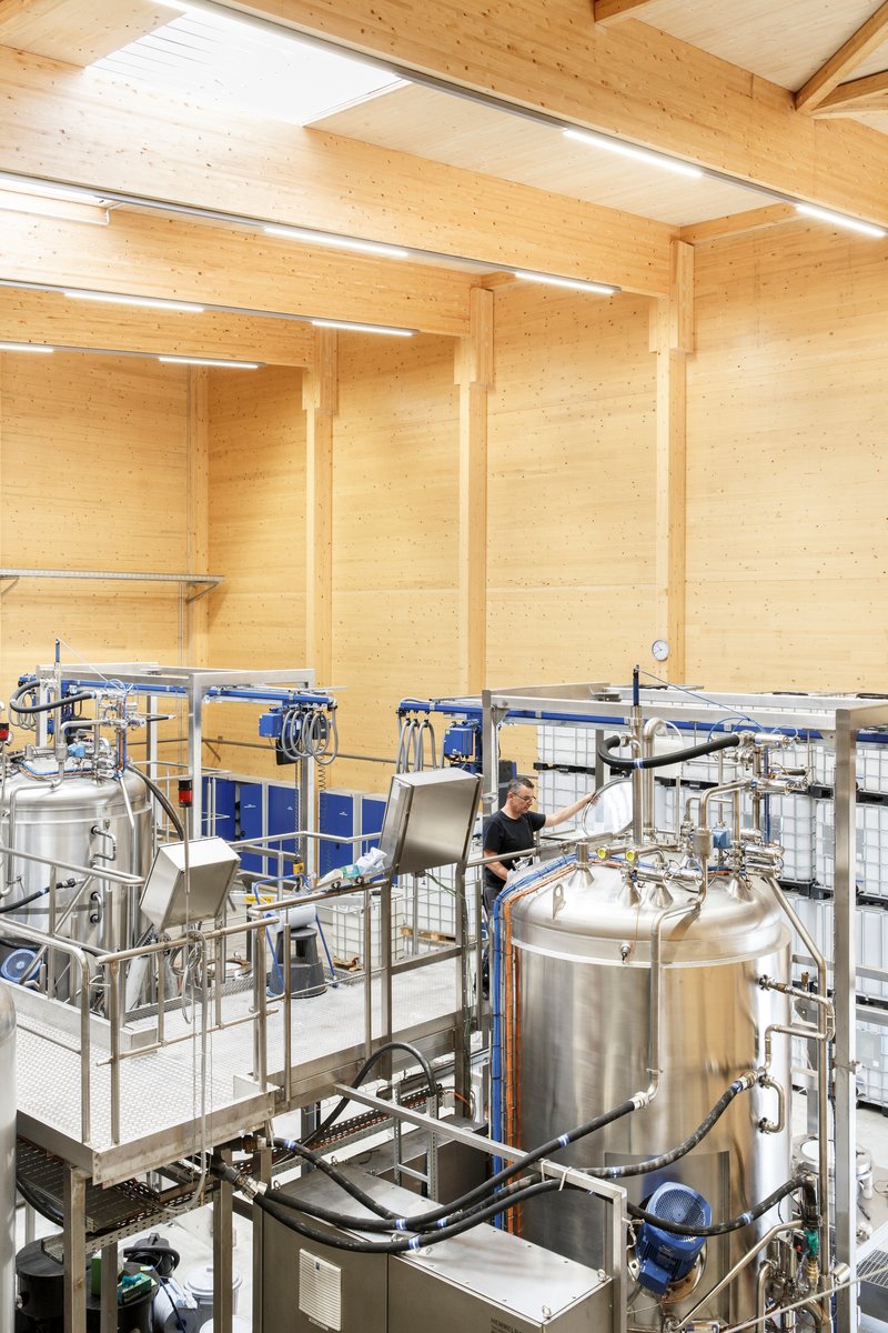 Production space with steel brewing tanks and platforms beneath exposed timber beams and linear lighting