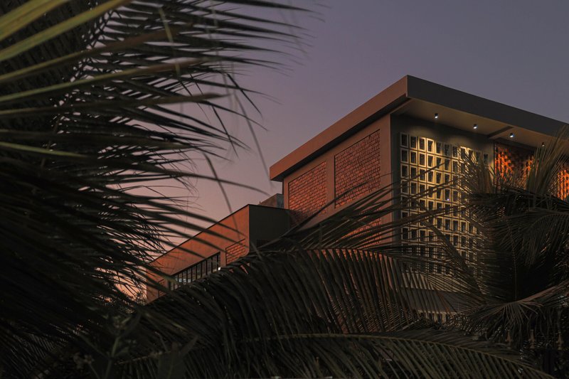 Evening view of the illuminated brick screen facade seen through silhouetted palm fronds