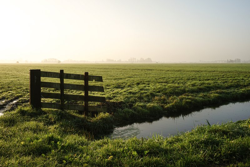 Wooden farm gate beside a drainage canal in a misty green pasture at sunrise